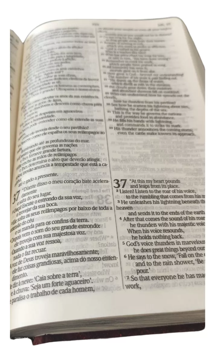 Bíblia Sagrada Bilíngue  Inglês & Português  Nvi  Capa Dura  Vermelha - Imagem 2