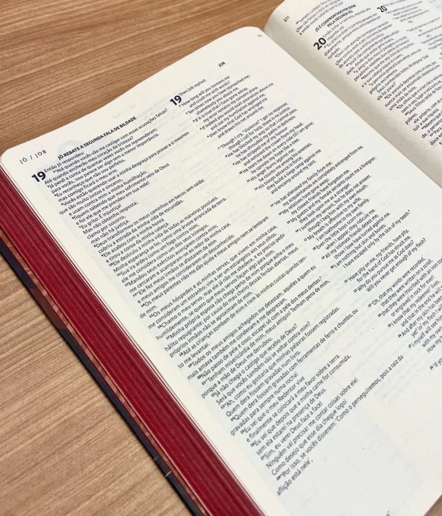 đ NIV Holy Bible â PortuguĂȘs/InglĂȘs (CPP) - Imagem 3