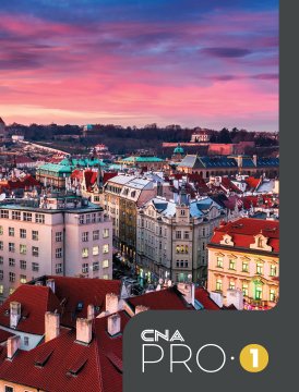 Capa do livro Inglês Profissional Pro 1